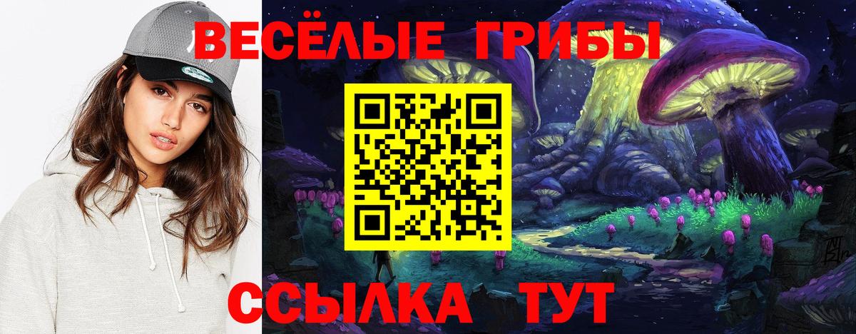 Галлюциногенные грибы Magic Shrooms  Вход с VPN  Мелеуз 